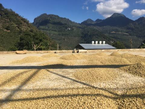 kawa z Gwatemali mała torebka